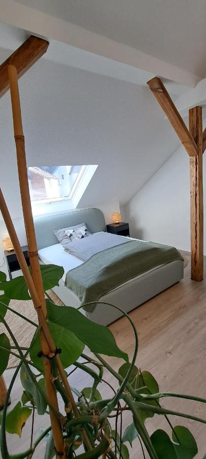 Waldstadt-Apartments Iserlohn Exteriör bild